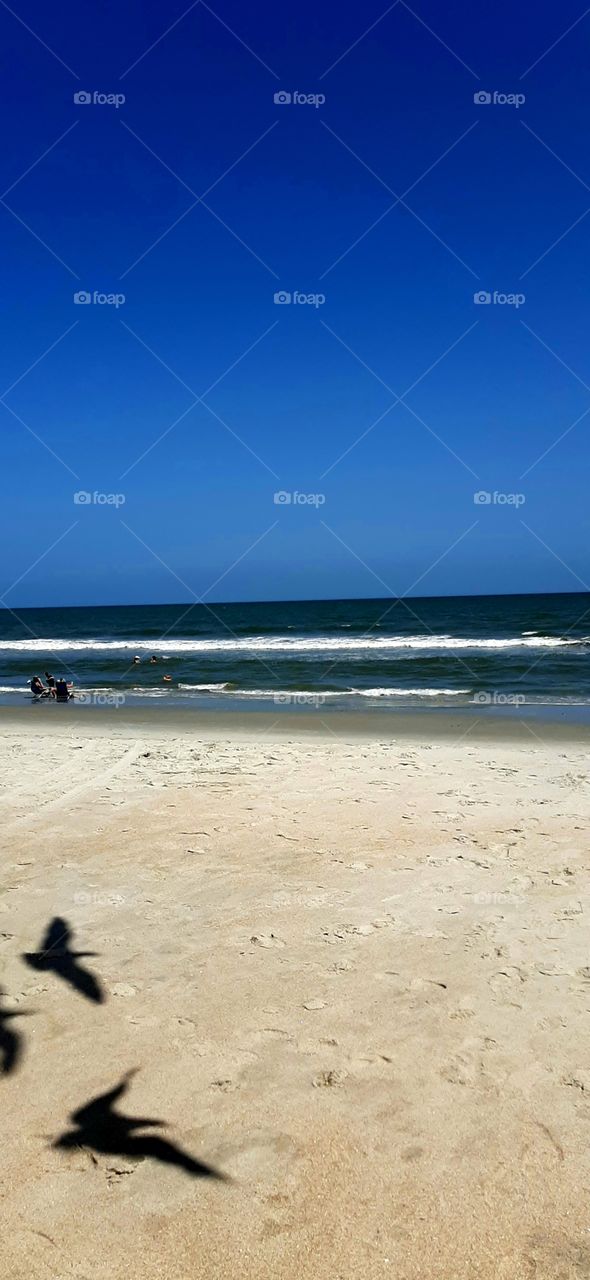 Gulls flying high leaving shadows on the beach