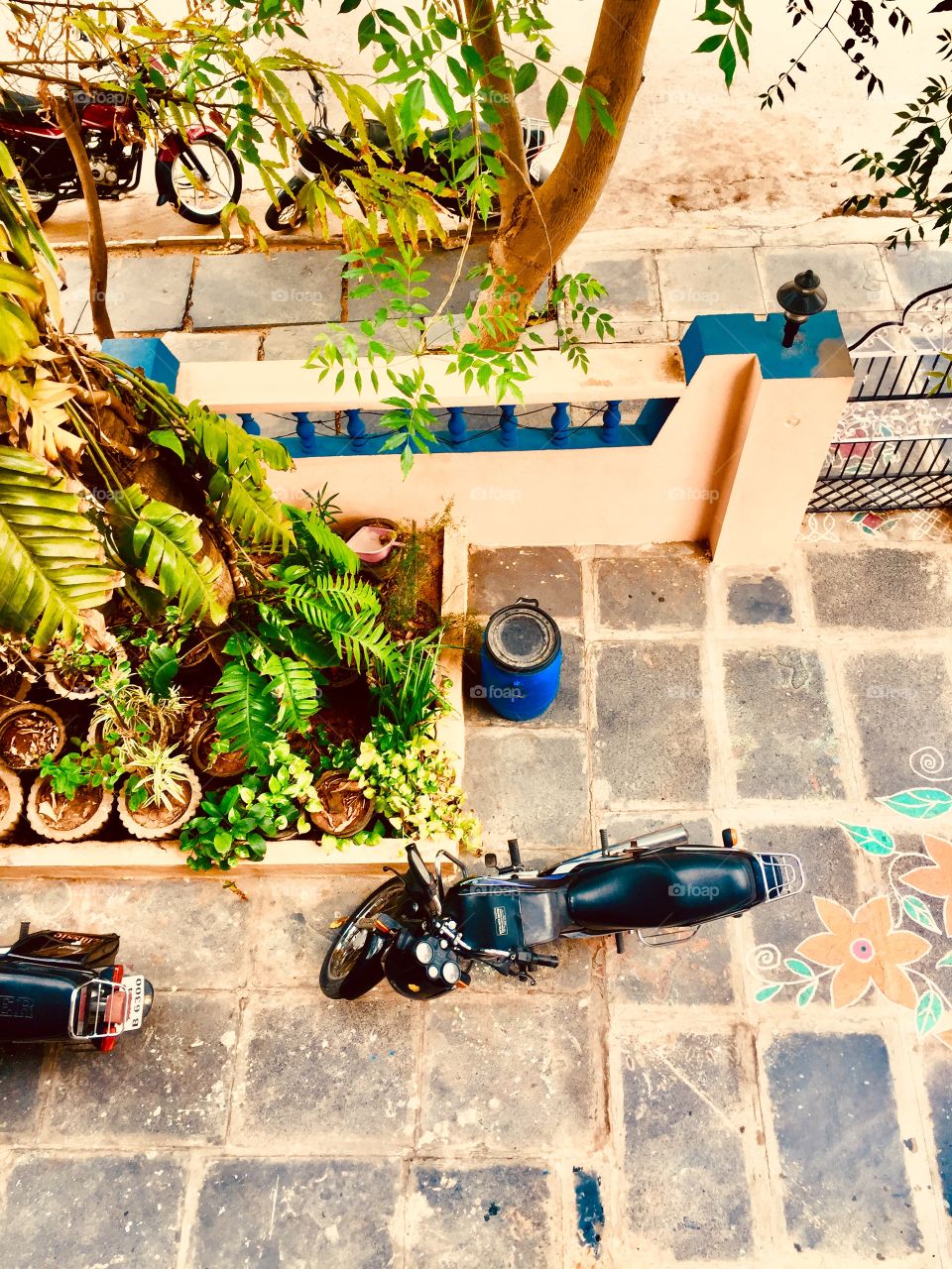 Aerial view of a small garden in my colleague’s compound house 🏡