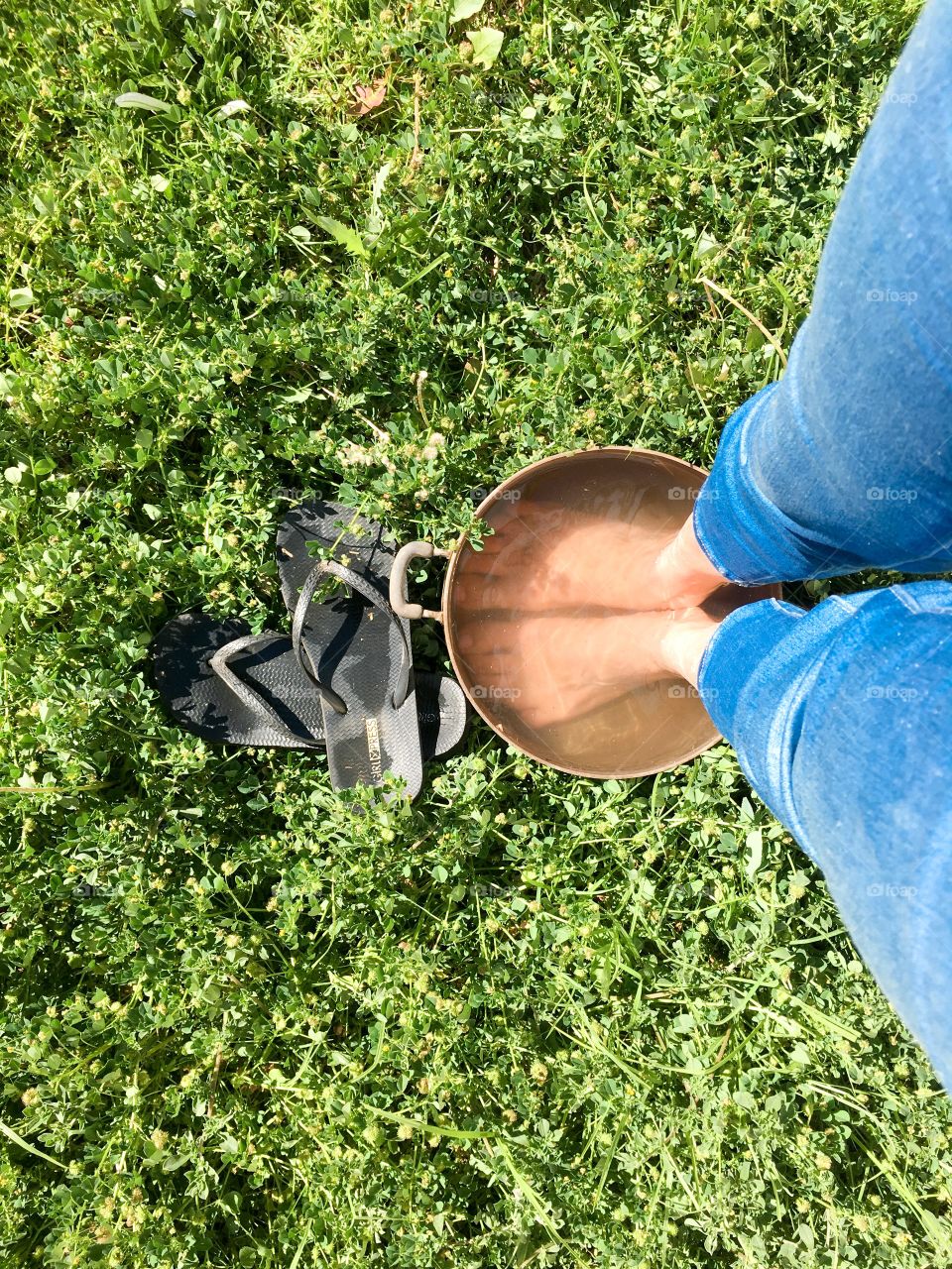 Cooling off in an old tin pot full of water, from where I stand 