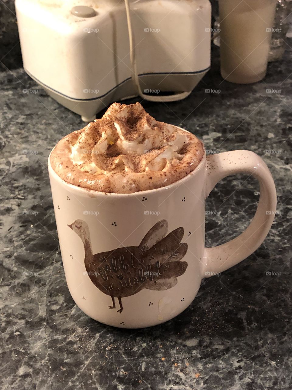 Spiced mocha hot chocolate with whip cream on top sprinkled with cinnamon and nutmeg