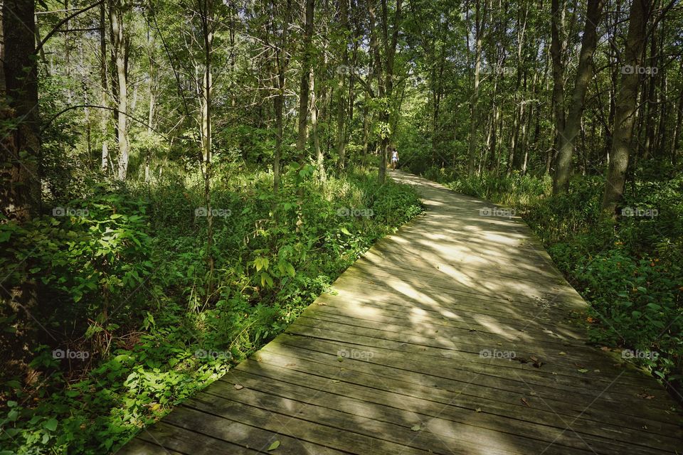 Wooden Walk