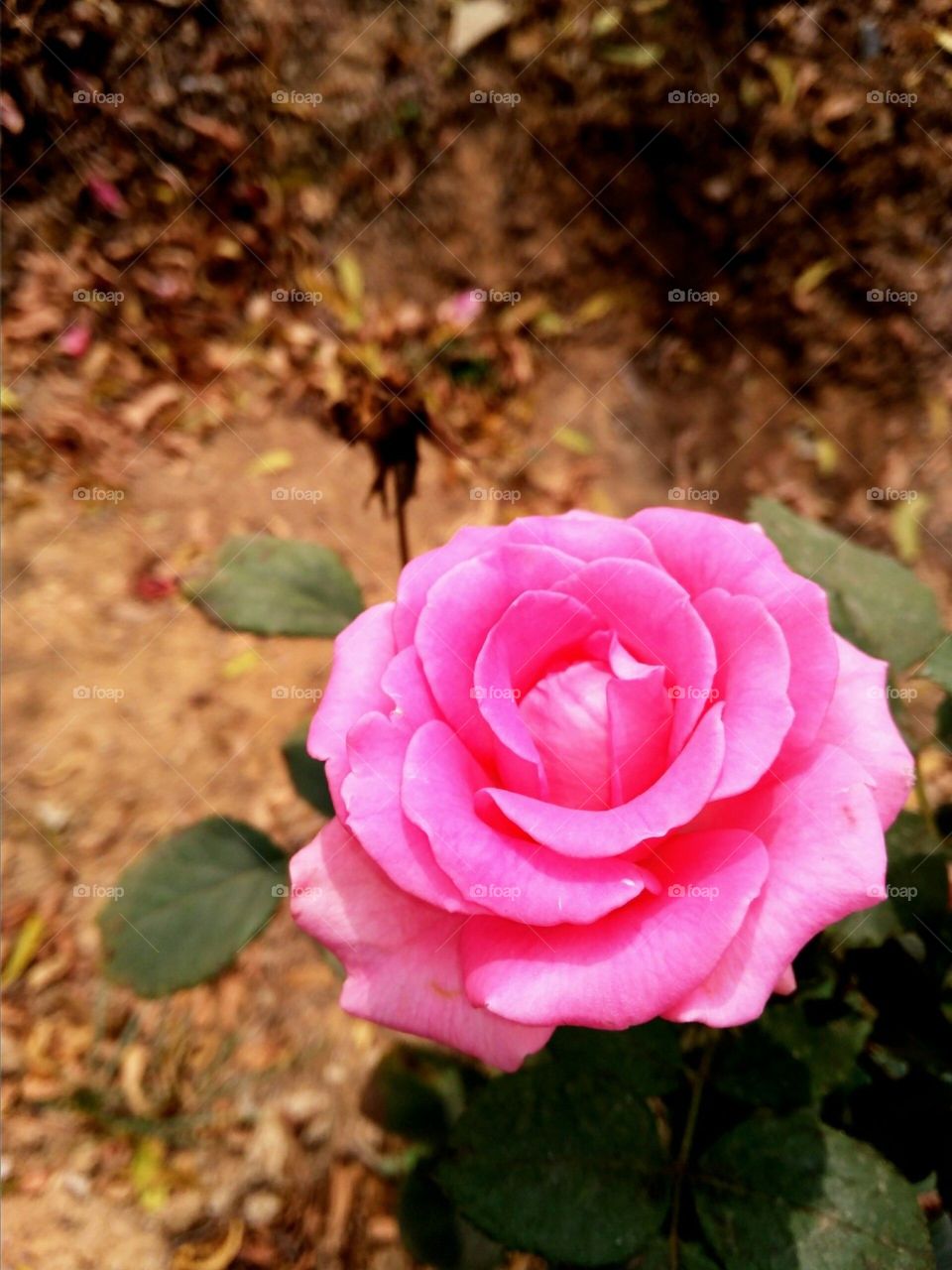 Nature says.. learn to hear