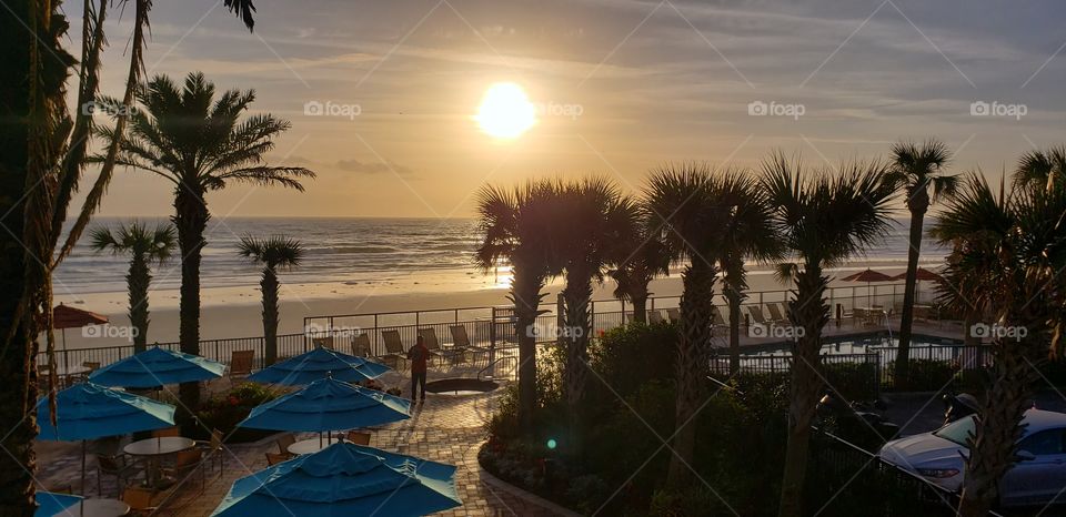 Florida beach sunrise with palm trees