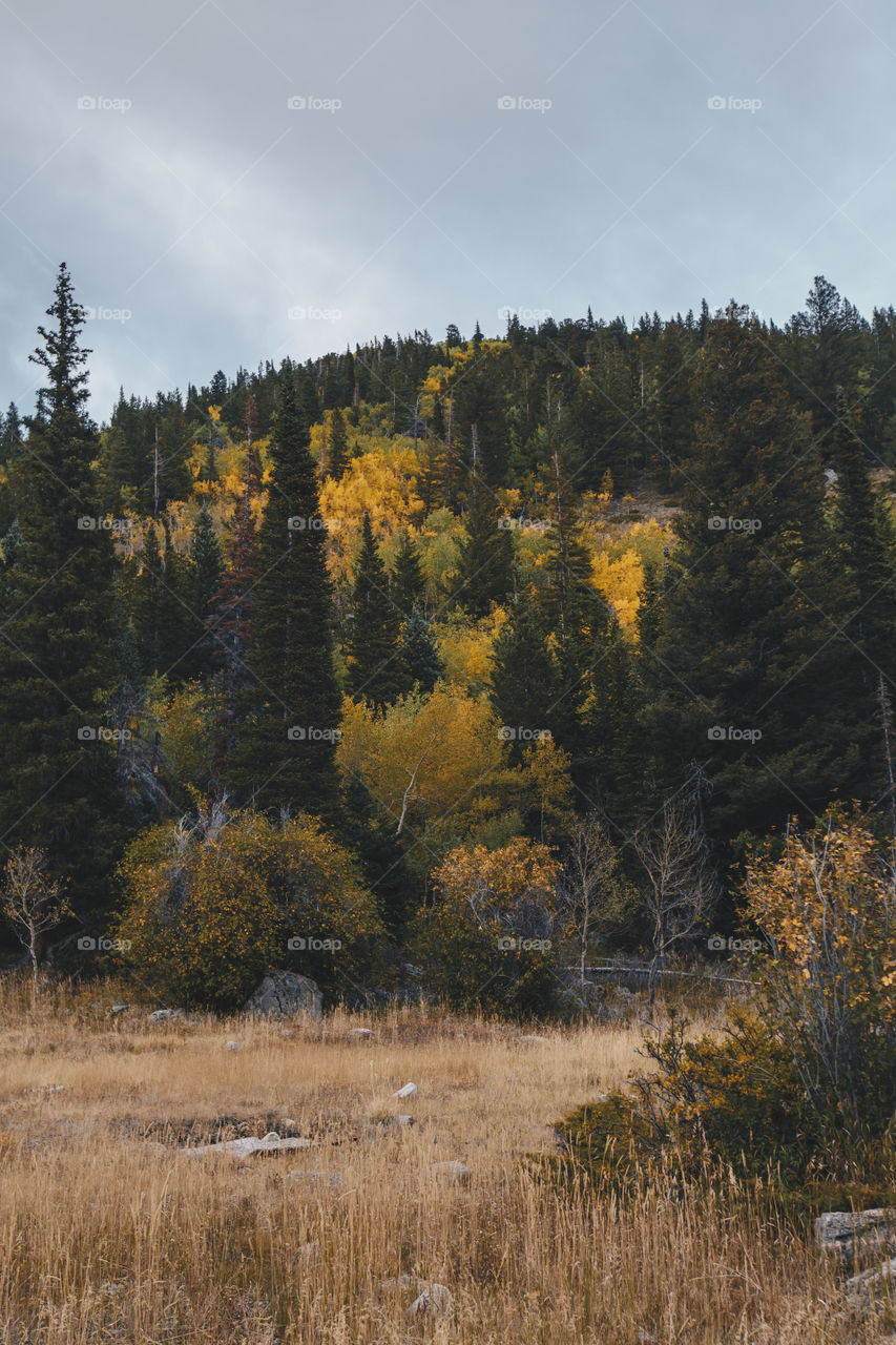 Hiking in autumn in Colorado