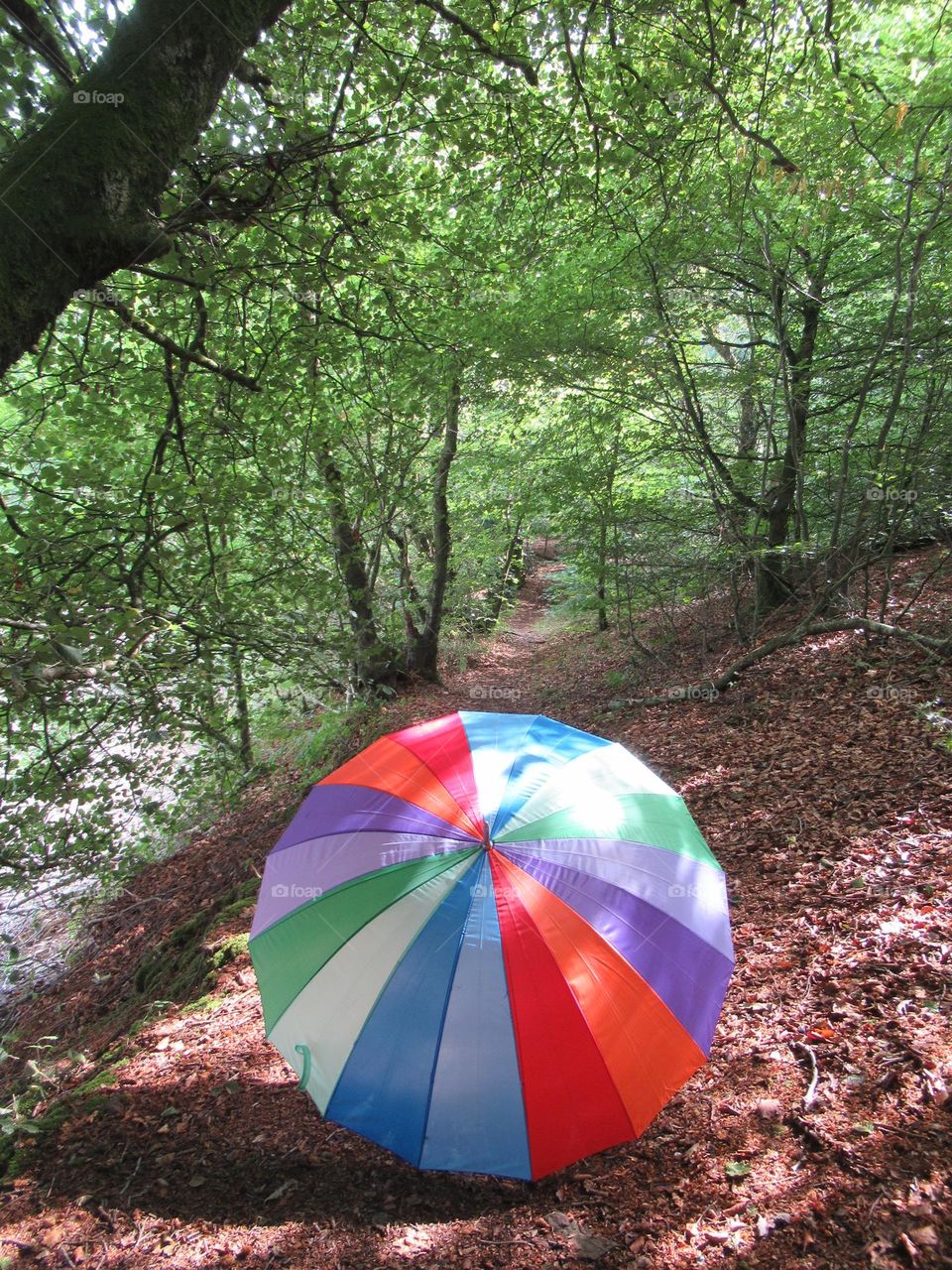 rainbow umbrella 🌈  🌂