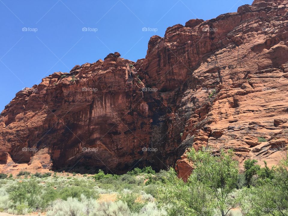 Snow Canyon Backdrop