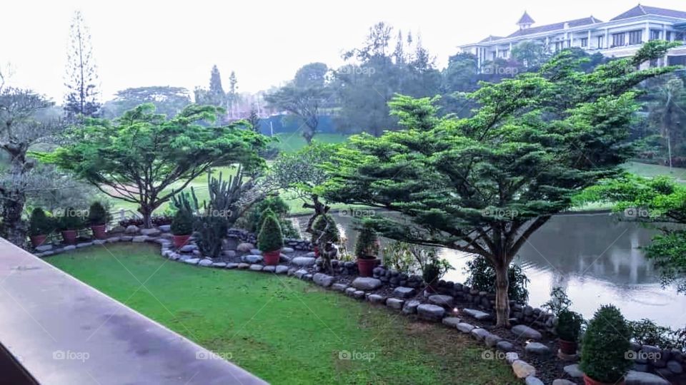 Terrace garden