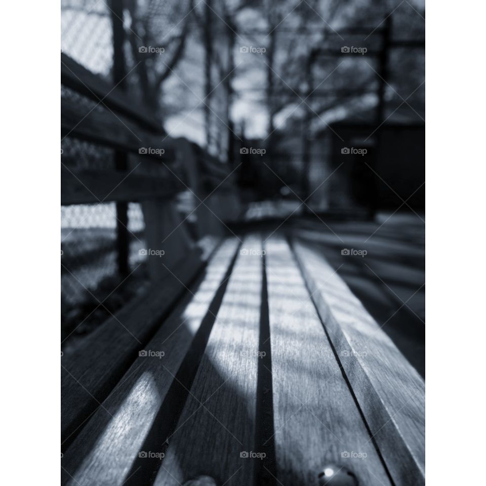 park bench in Brooklyn