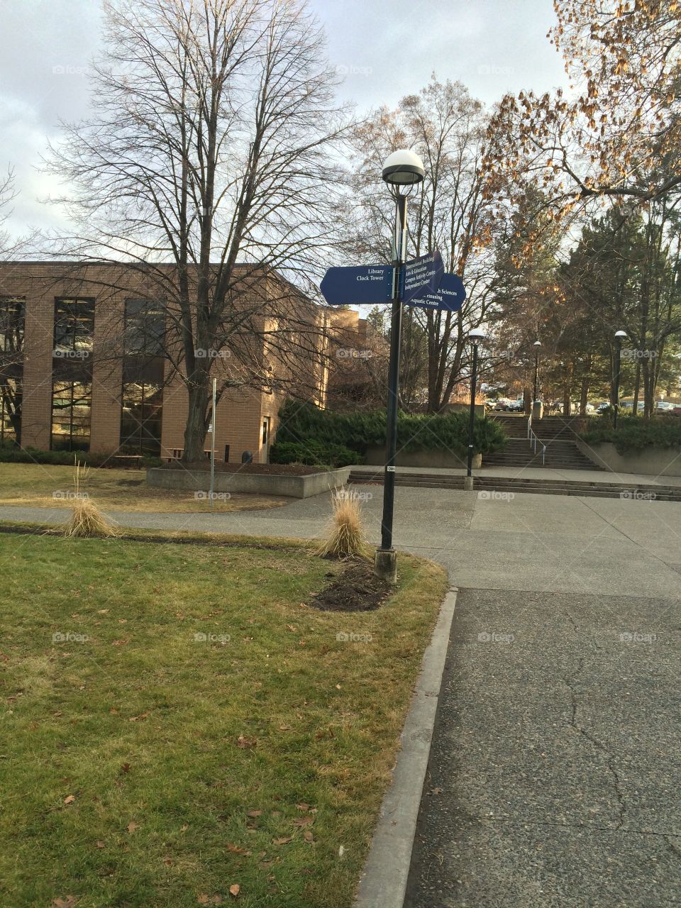 Walking to the university library! 