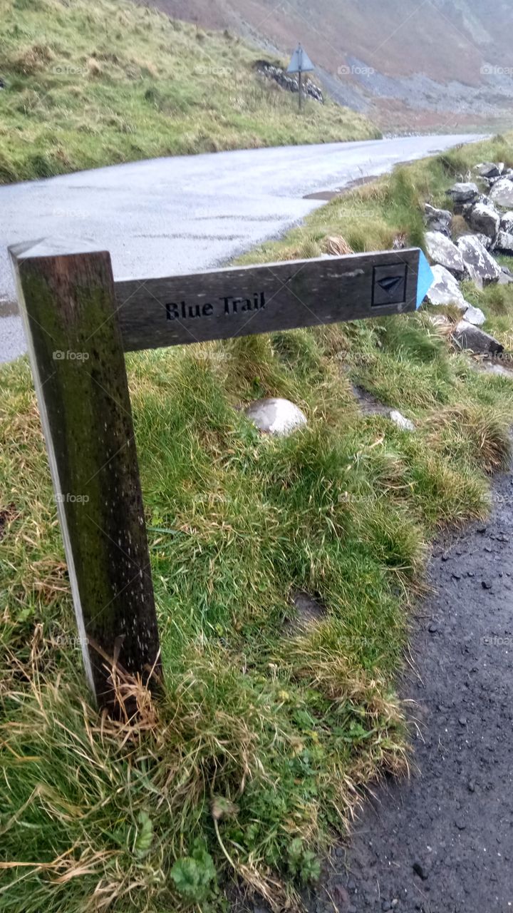 Down the blue trail