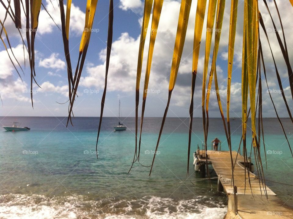 beach ocean palm trees by glavander
