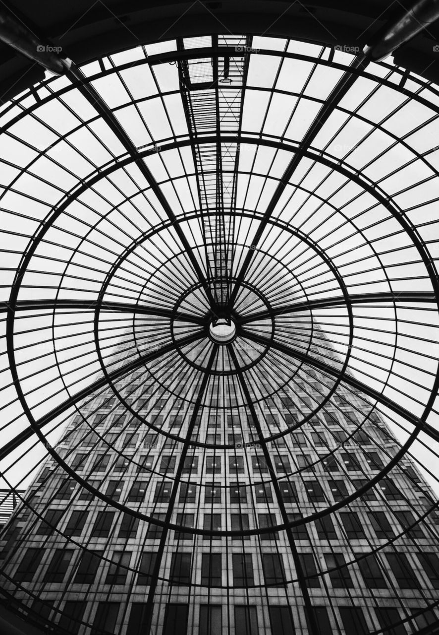 Through the dome. Black and white through the glass dome