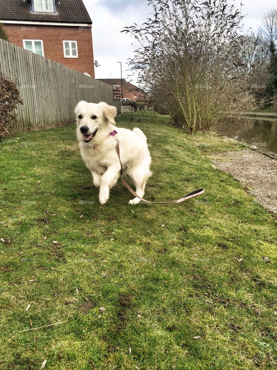 Zoe having fun at the canal