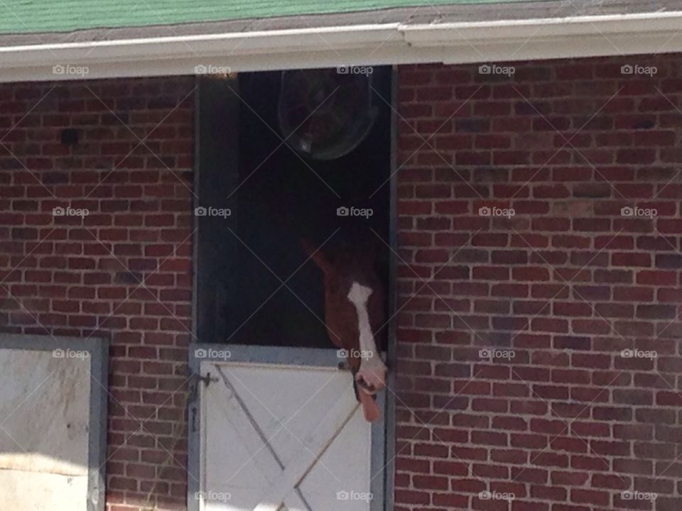 Churchill Downs