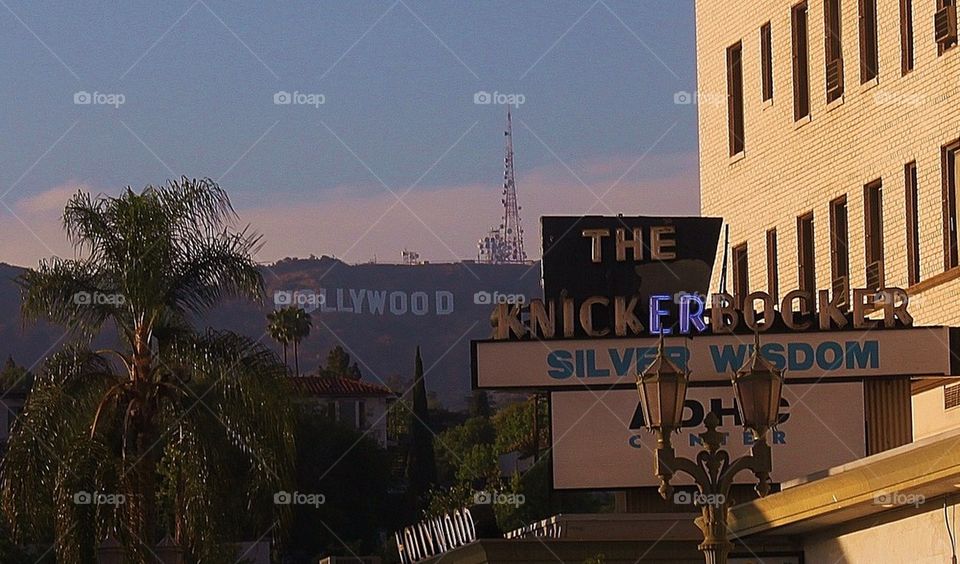 Welcome to Hollywood