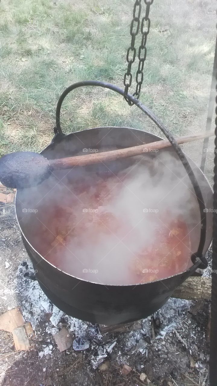 lunch time in the wood