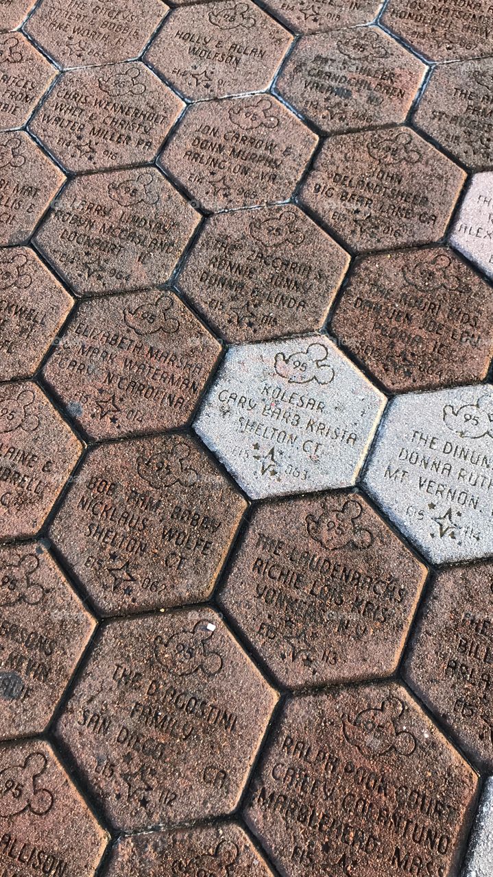 #day72 Everyday Disney World in Orlando Florida.  I have been lost on Disney Properties consecutively since 4/3/19!  You can find it on https://www.facebook.com/selsa.susanna or on IG SelsaCamacho YT SelsaSusanna • Disney’s Epcot 6/13/19 Thursday 