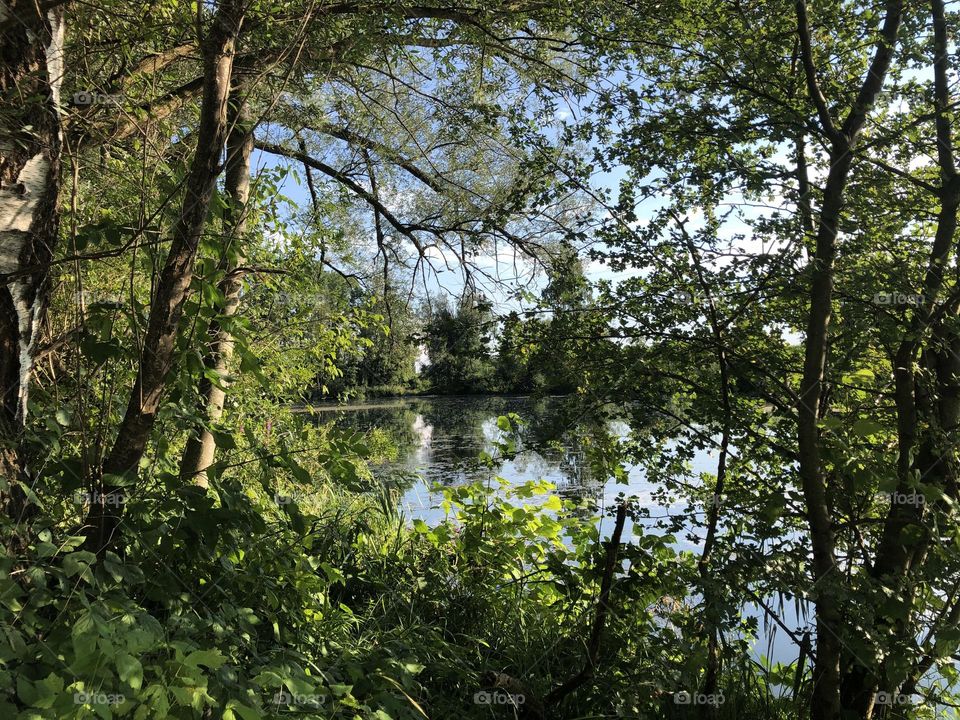 Sunny Days Will Never Fade