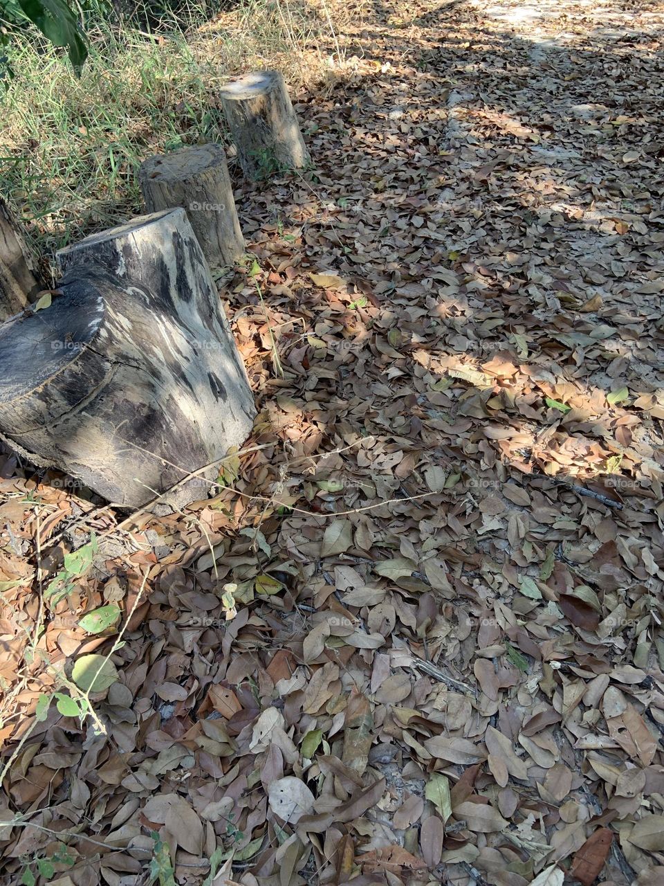 Best of 2021 : Nature, Countryside (Thailand)