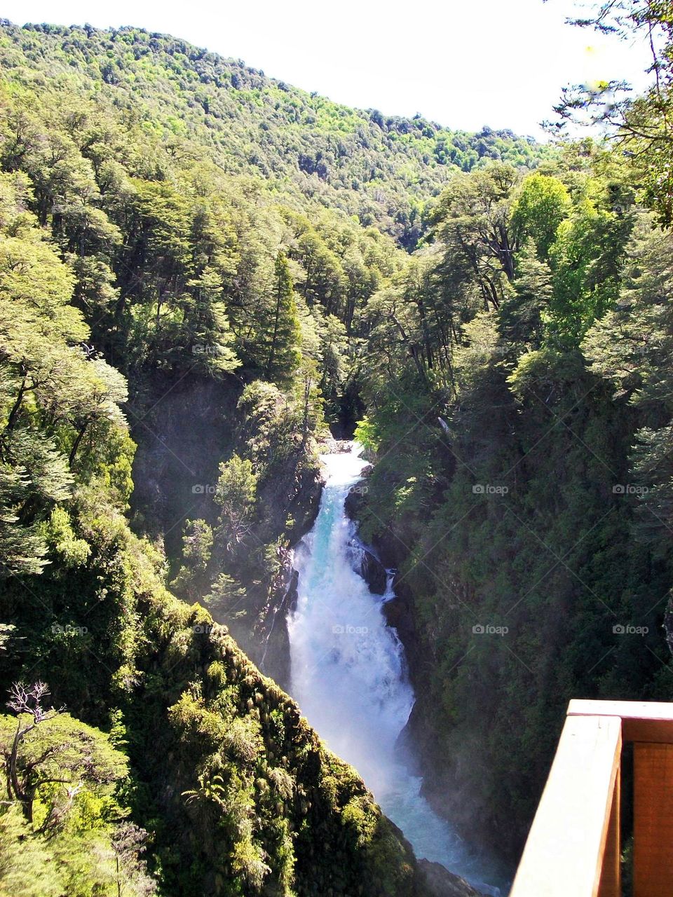 A thick forest frames the beautiful Chachin - Hua Hum waterfall. Sounds of birds and insects, as well as animals, are among the trees, vines, and undergrowth. It is in the Parque Nacional Lanin, in Neuquen, Argentina.