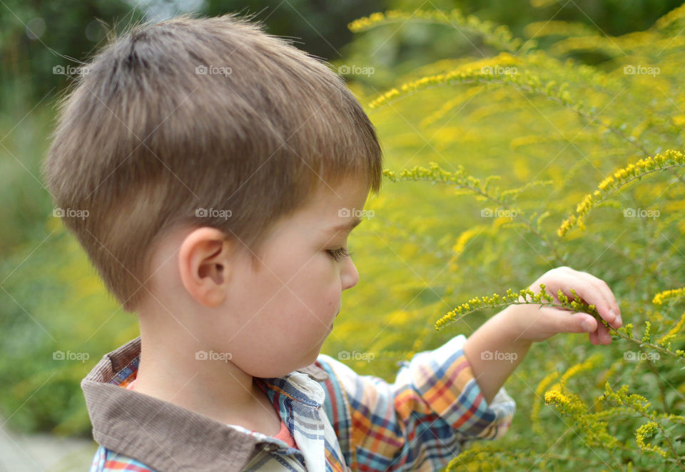 Toddler boy in a field and touching tall grass