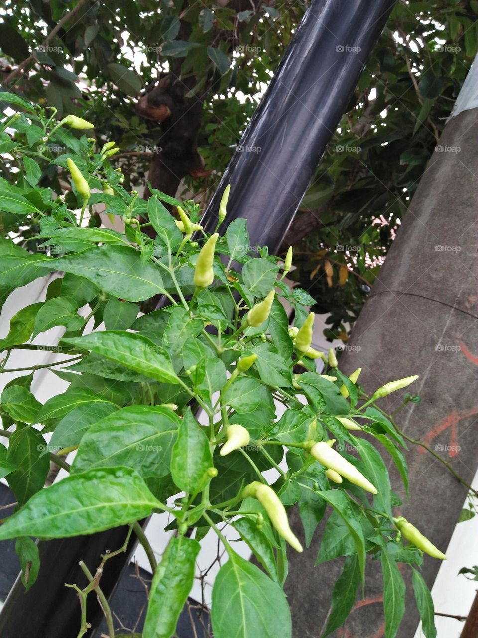 Best of 2021 : Nature