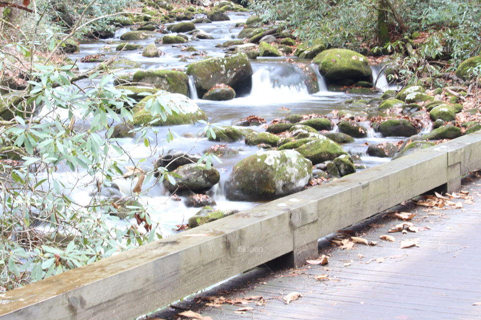 Roaring Fork Motor Trail stream