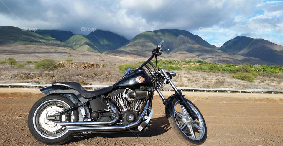 Harley Davidson Softail, west Maui mountain background