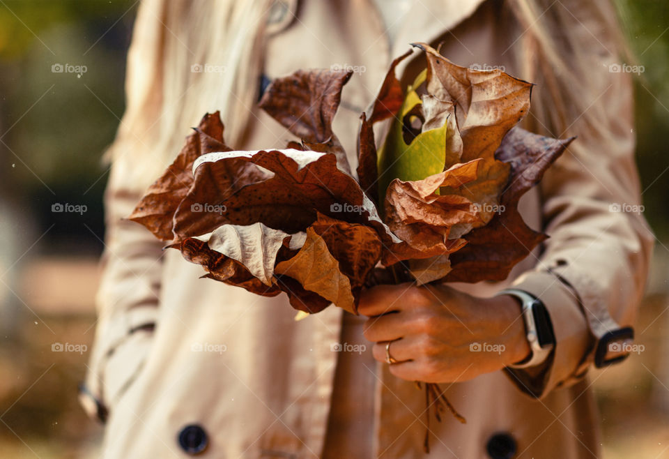 Female hand holding bouquet of dry fallen leaves 