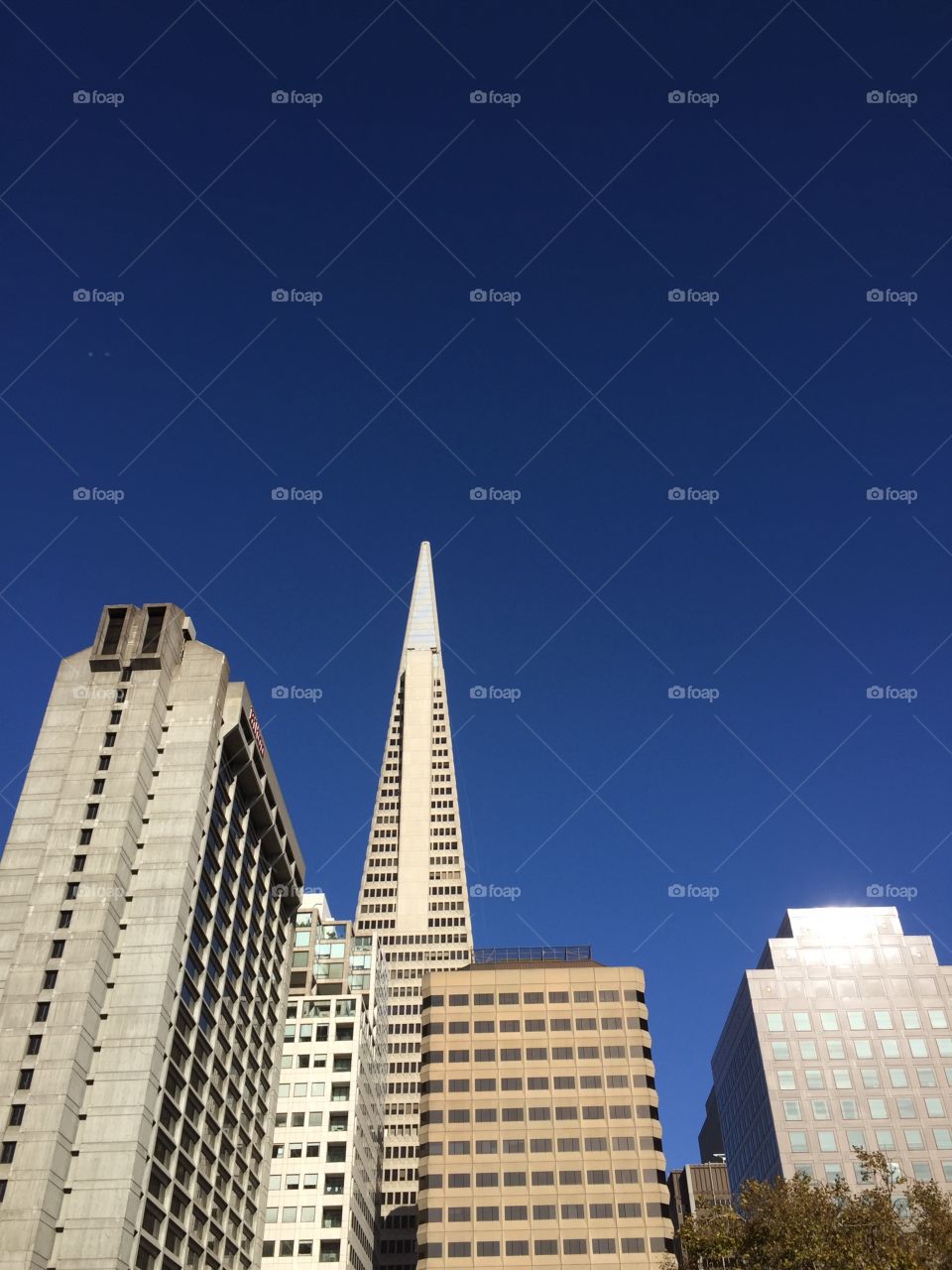 Buildings in San Francisco . Buildings in San francisco