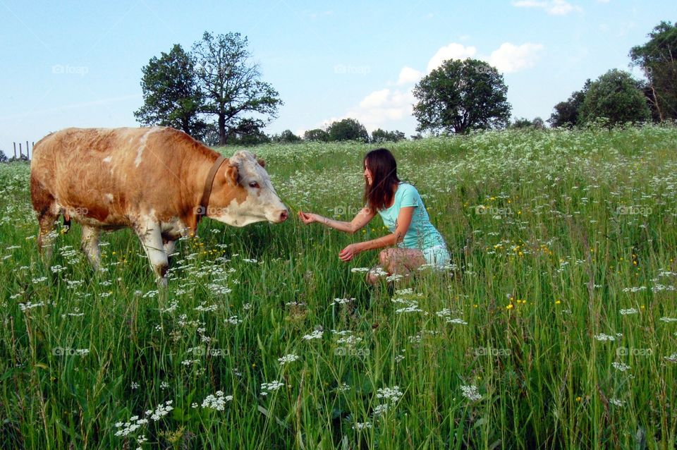 Grass, Hayfield, Field, Rural, Pasture