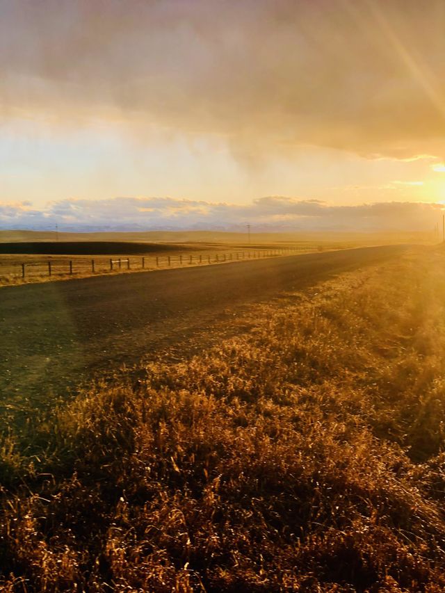 Old Country Road 