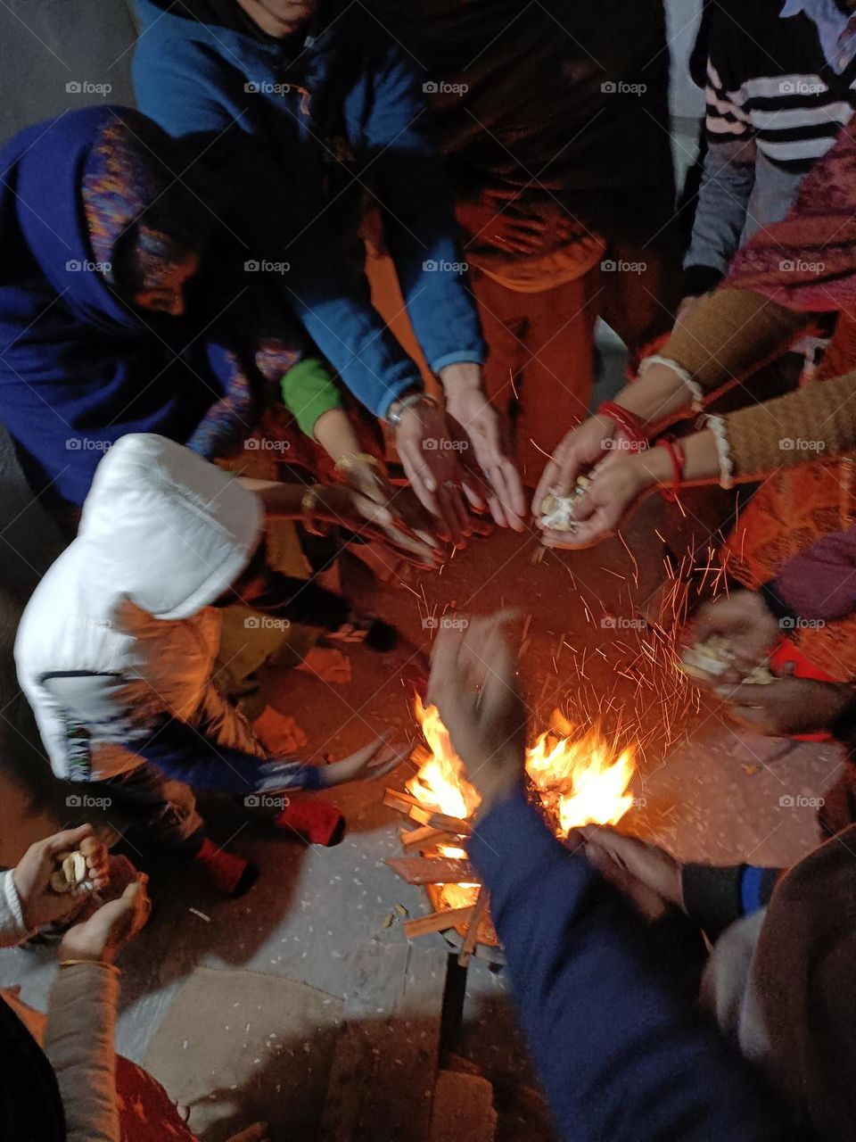 editors' choice: photo of the week