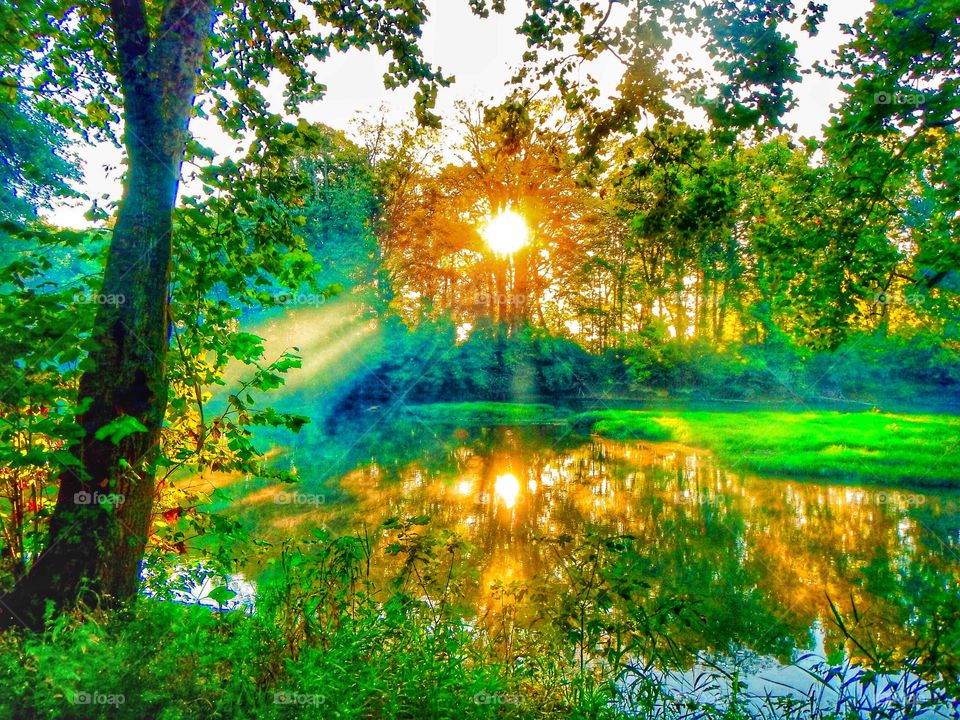 Sunrise in the morning was so beautiful here. 