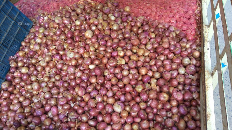 indian marketing famous item onions