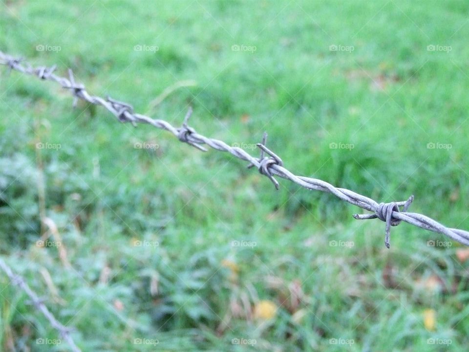 Barbed wire close-up