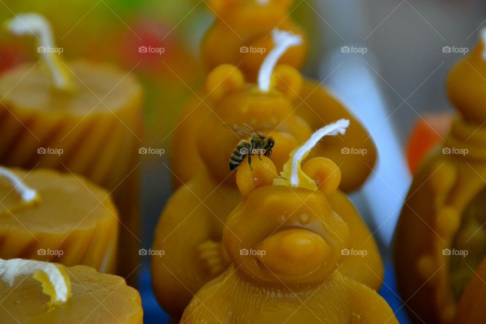 Bee wax candles
