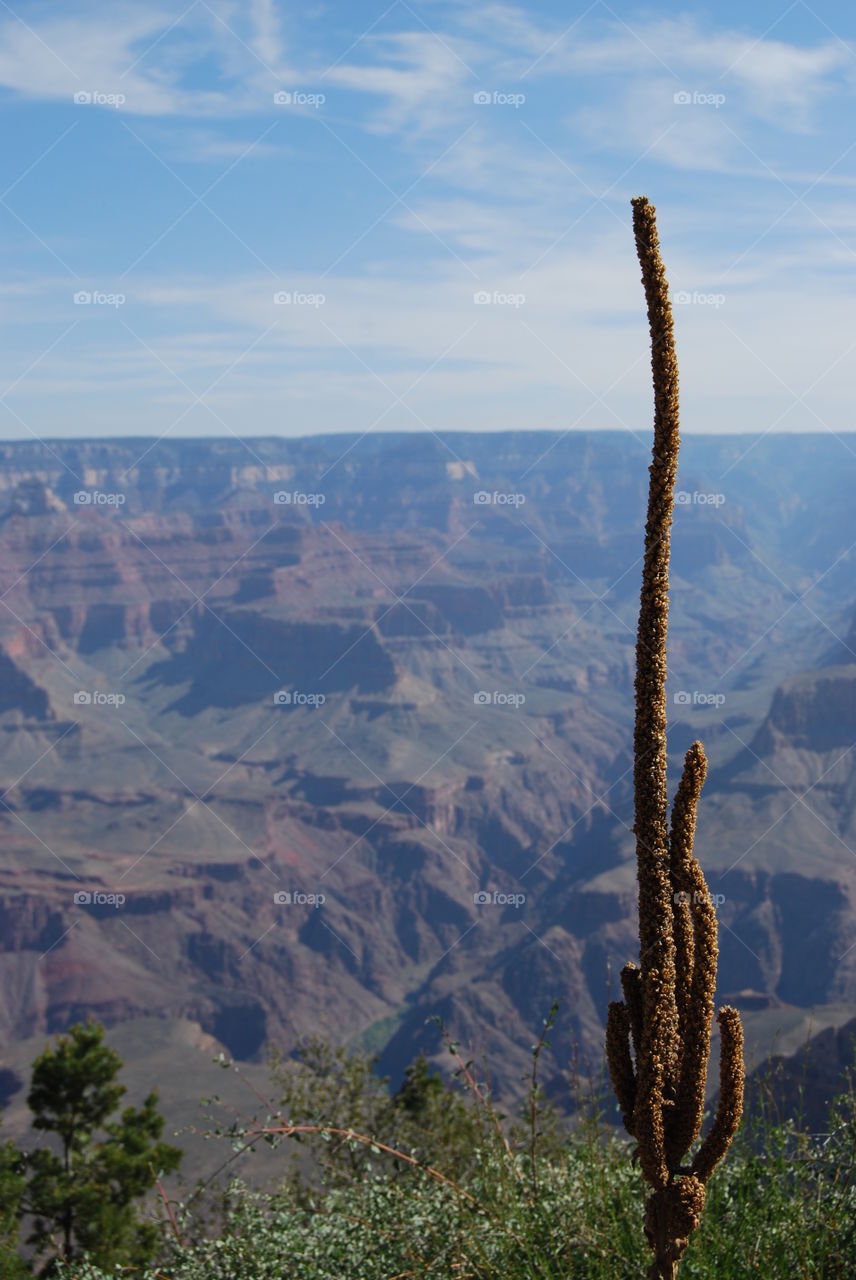 Grand Canyon 