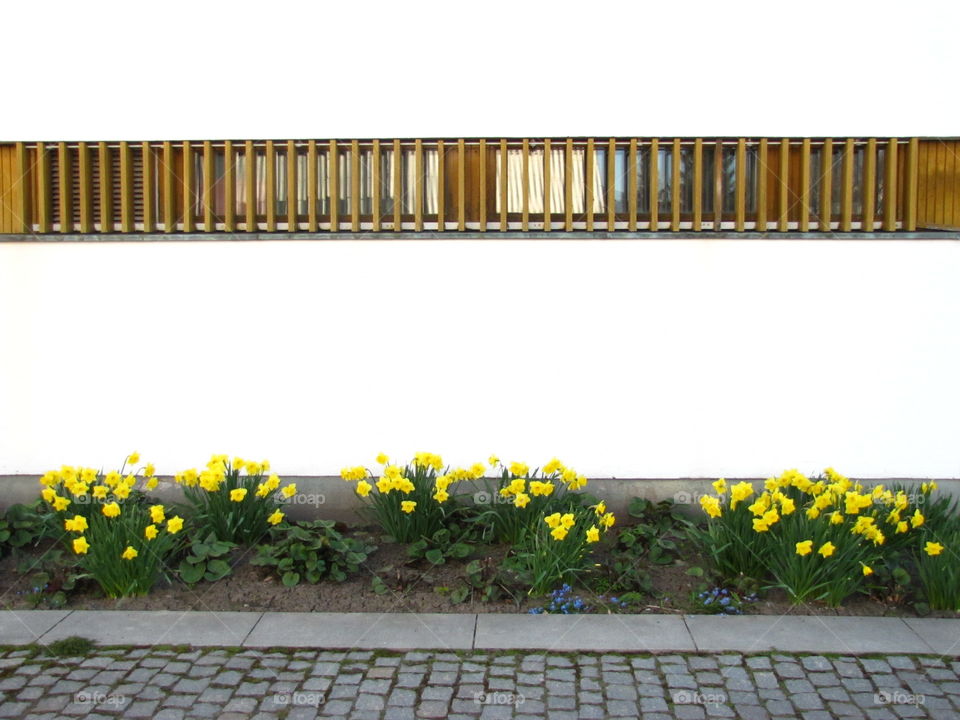 Parallels. The wall , the flowerbed and the road