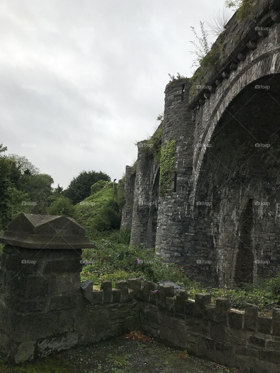 Bridge in Ireland 