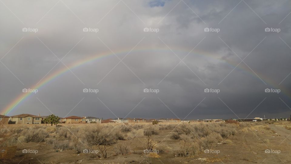 desert rainbow