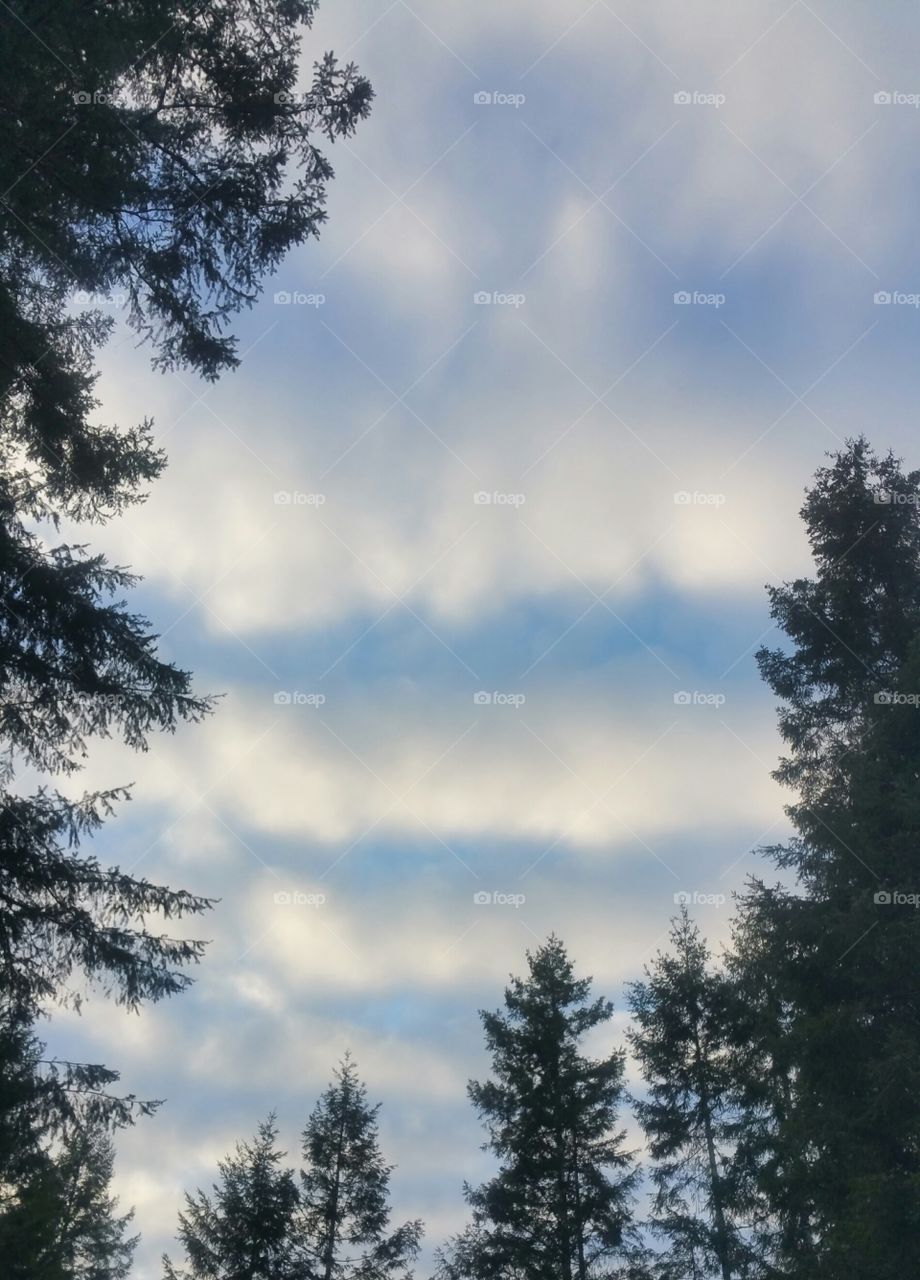 sky above my house