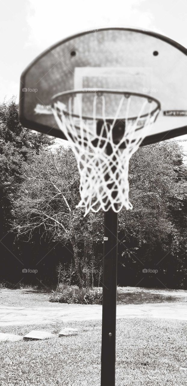 got traded for baseball