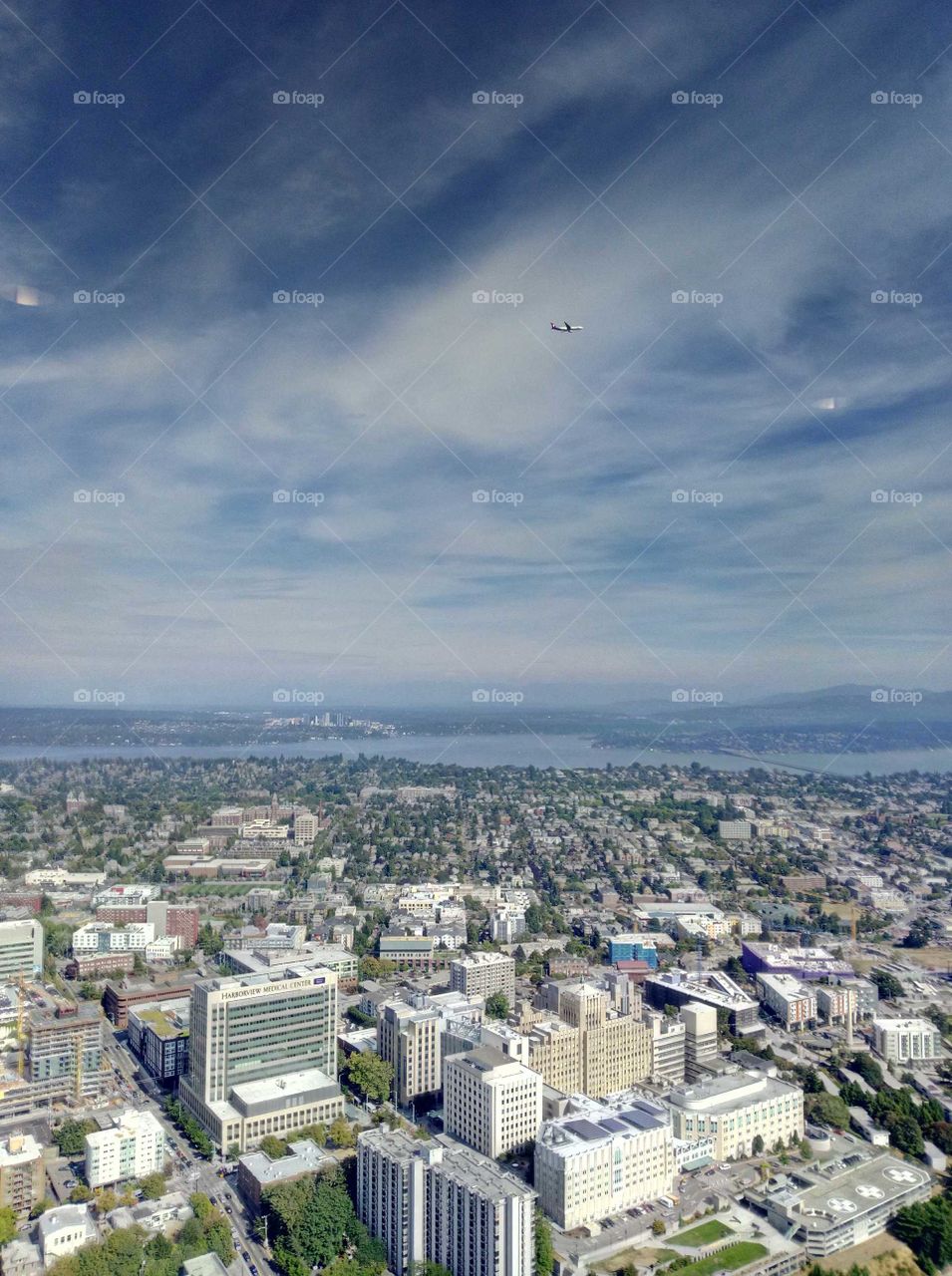 panoramic view on Seattle city centre in a sunny summer day