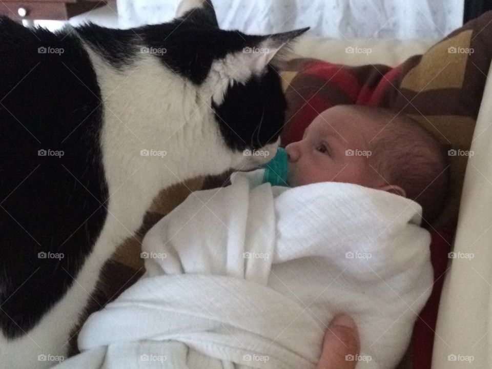 Cutest Pet in the World