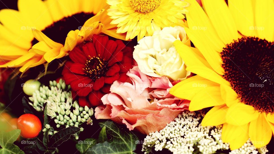 Blumen in verschiedenen Farben