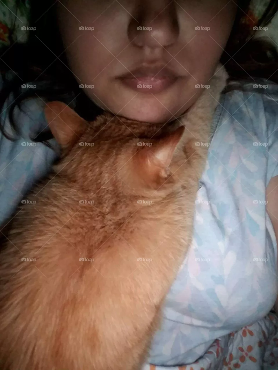 Cat hugs
