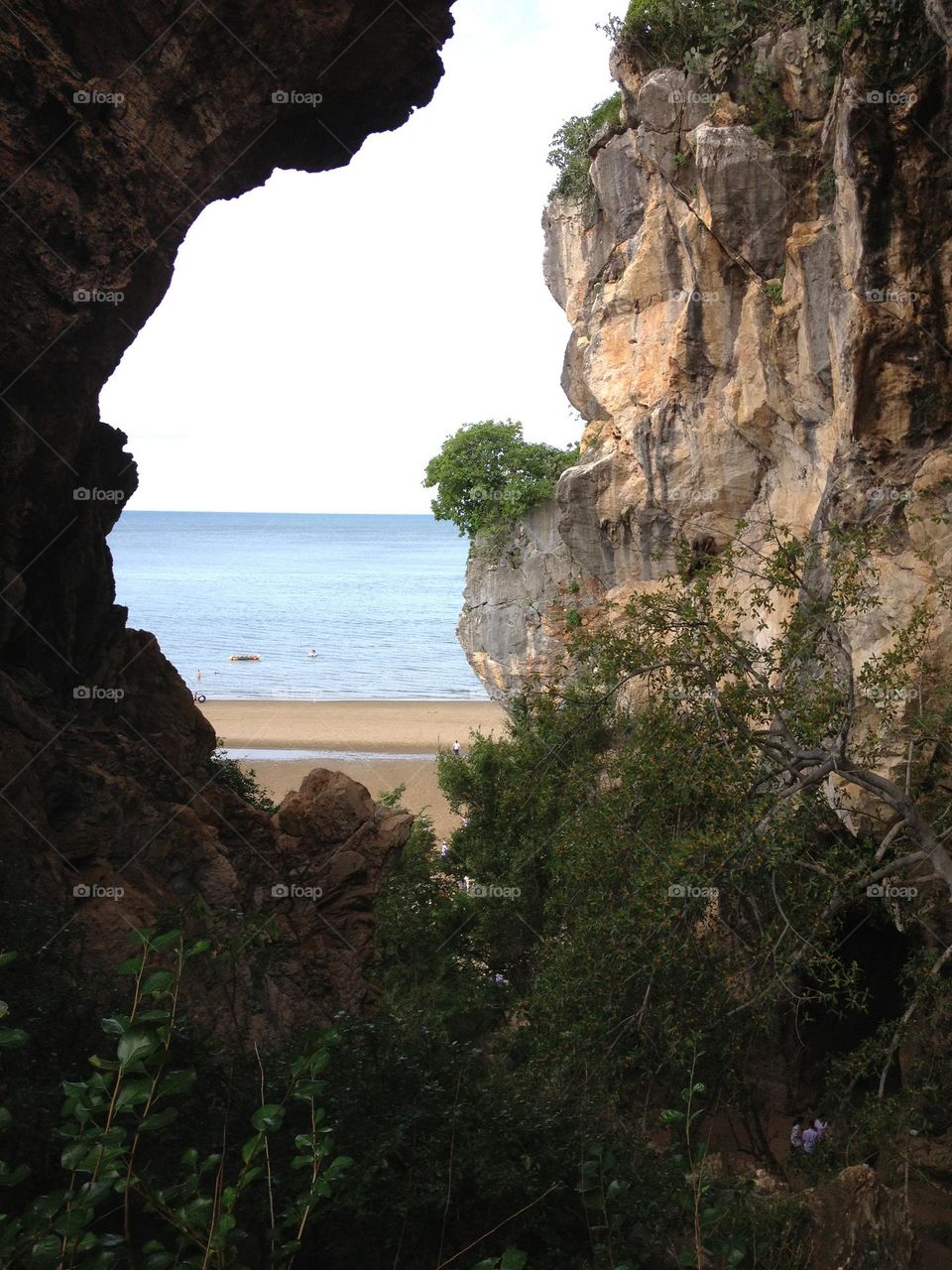 Roam about the forest