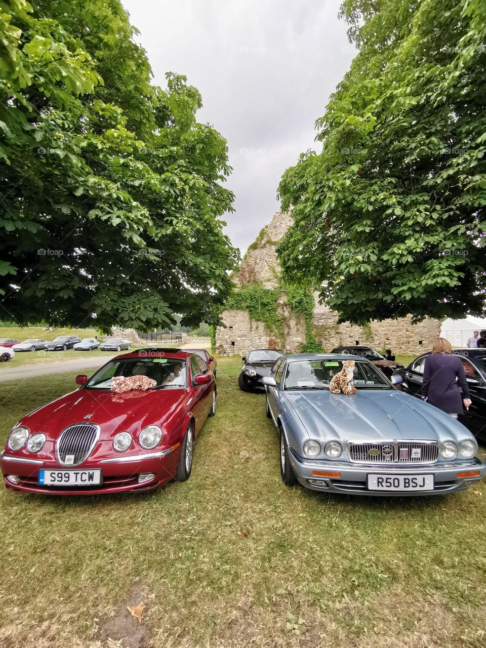 Cars with souls. Jaguar.