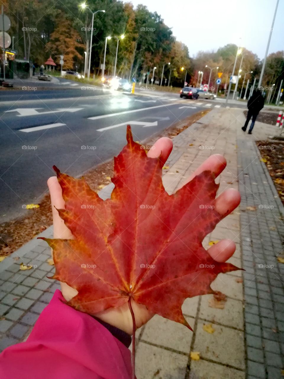 Orange autumn